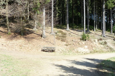 Abzweigung-zur-Waldquelle