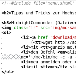 Quellcode mit SSI Anweisung